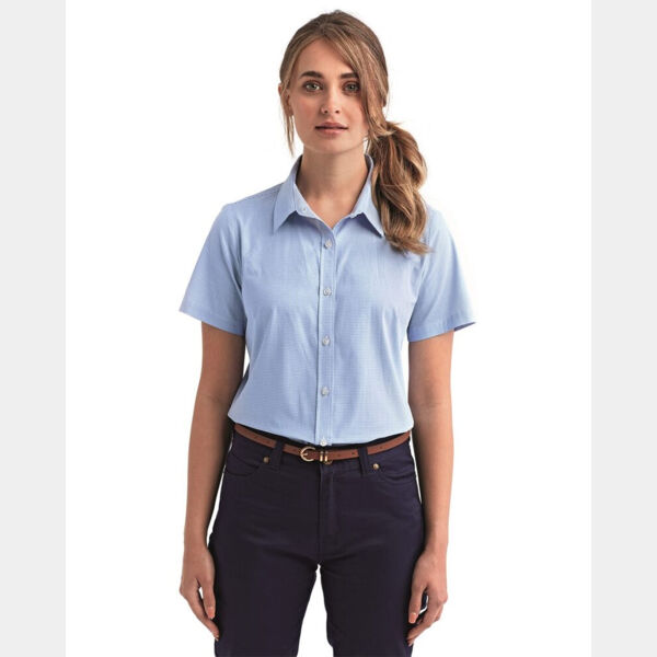 Women's Microcheck Gingham Short Sleeve Cotton Dress Shirt Thumbnail