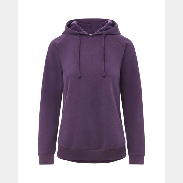 Women's Vintage Fleece Hooded Sweatshirt Thumbnail